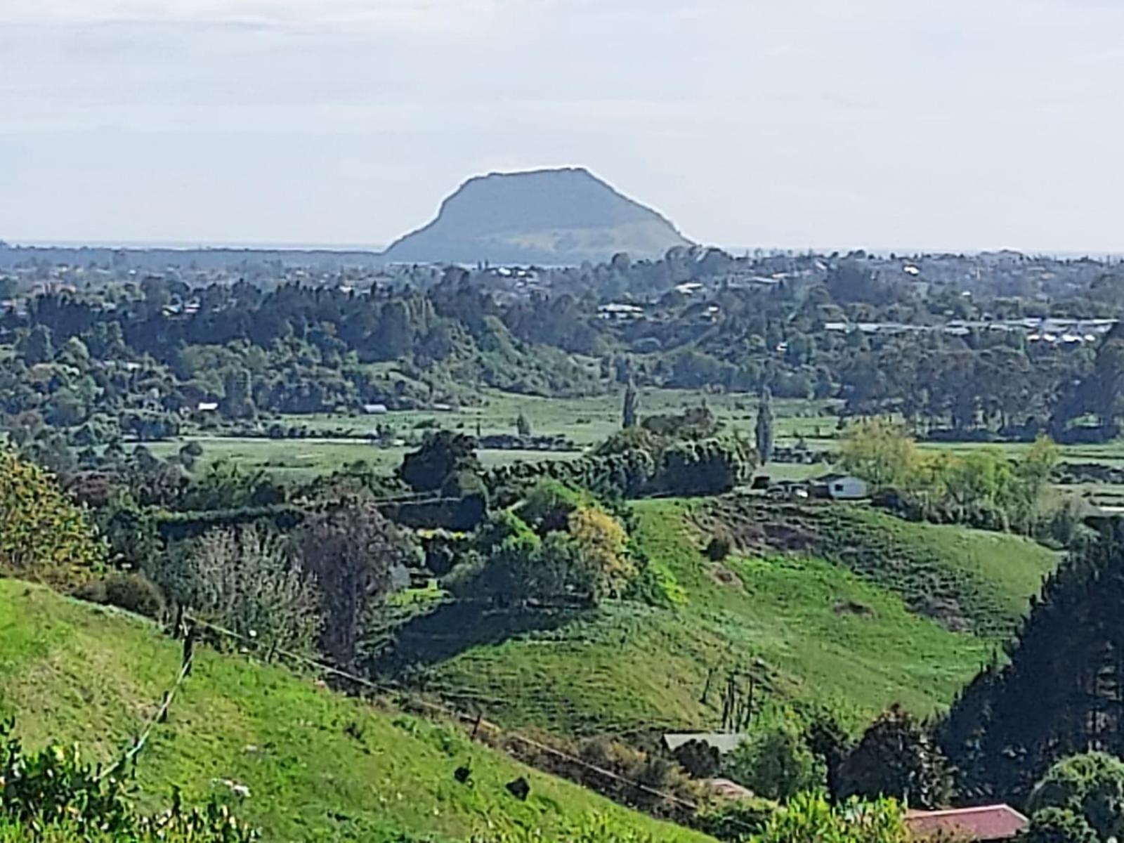 Mount View Cottage Tauranga Exterior photo