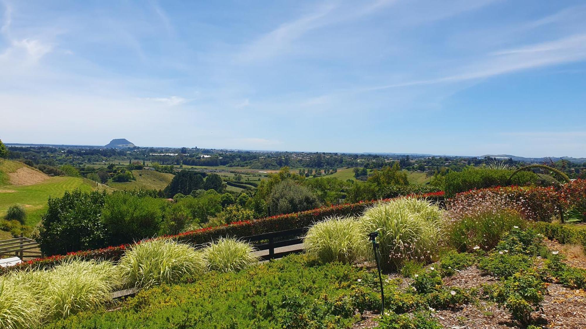 Mount View Cottage Tauranga Exterior photo