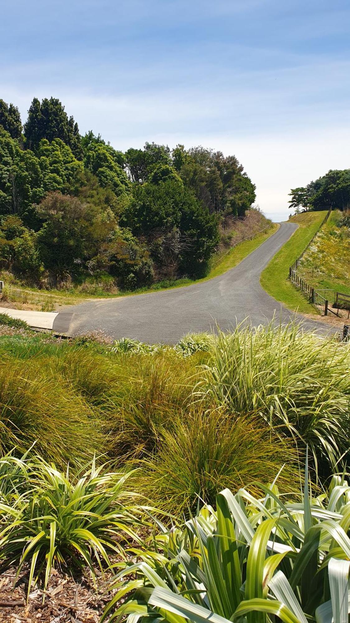 Mount View Cottage Tauranga Exterior photo